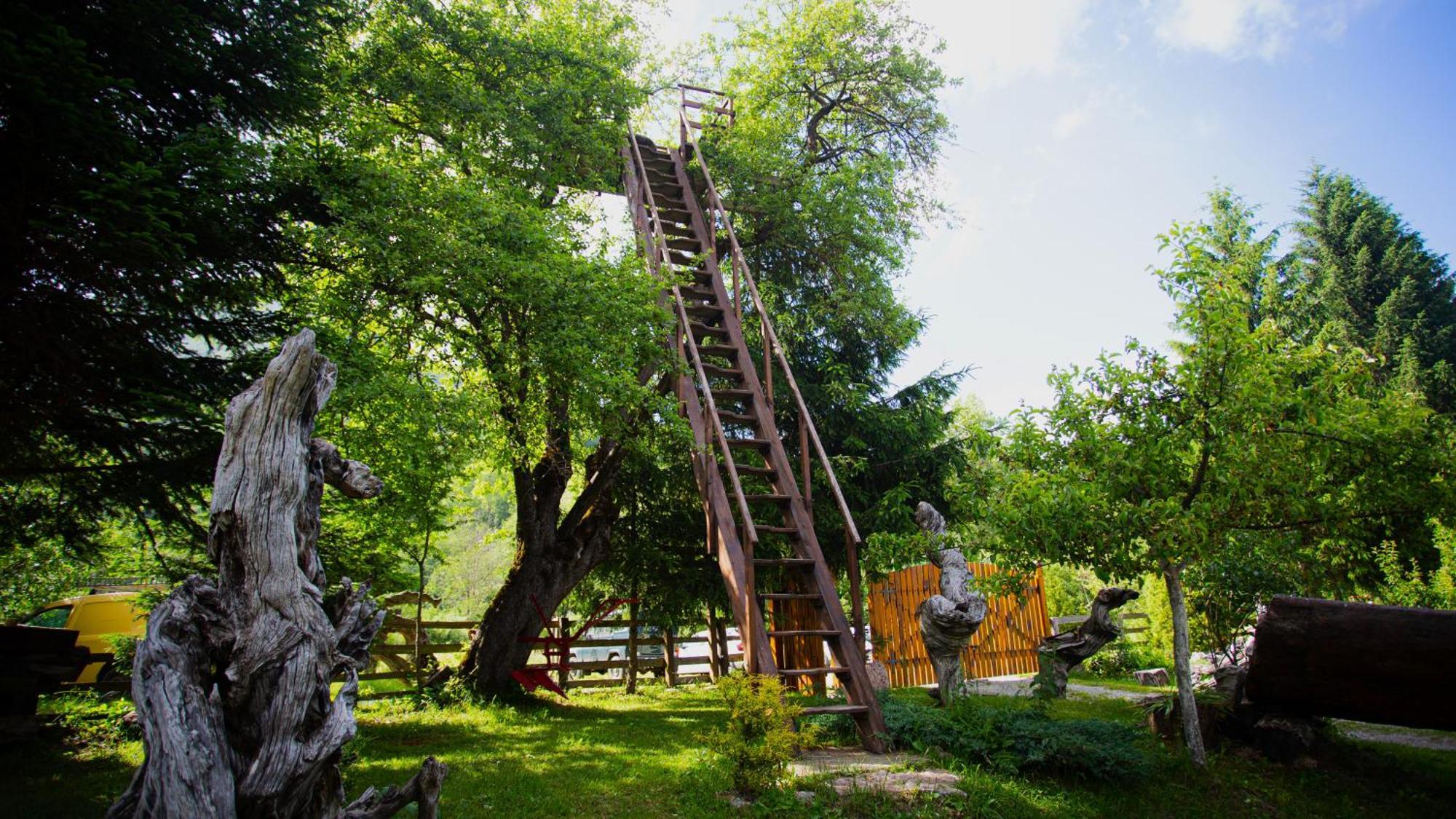 Ethno Village Stitarica Mojkovac Bagian luar foto
