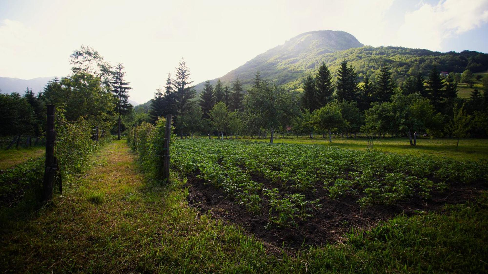 Ethno Village Stitarica Mojkovac Bagian luar foto