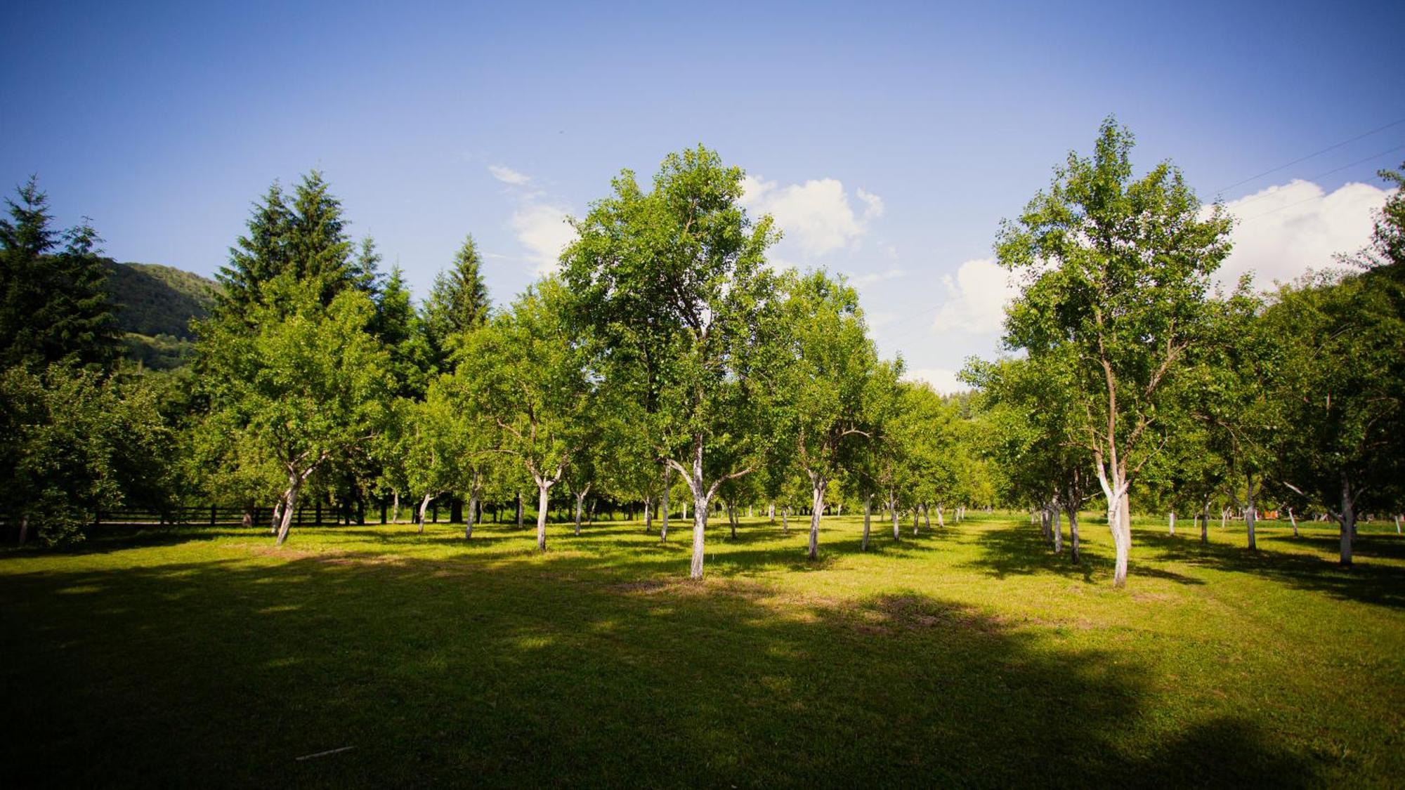 Ethno Village Stitarica Mojkovac Bagian luar foto