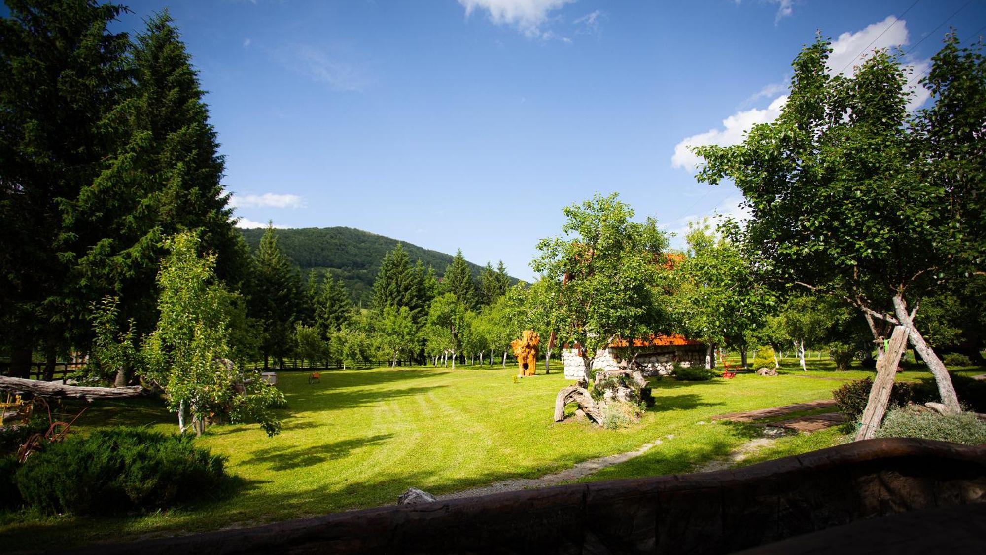 Ethno Village Stitarica Mojkovac Bagian luar foto