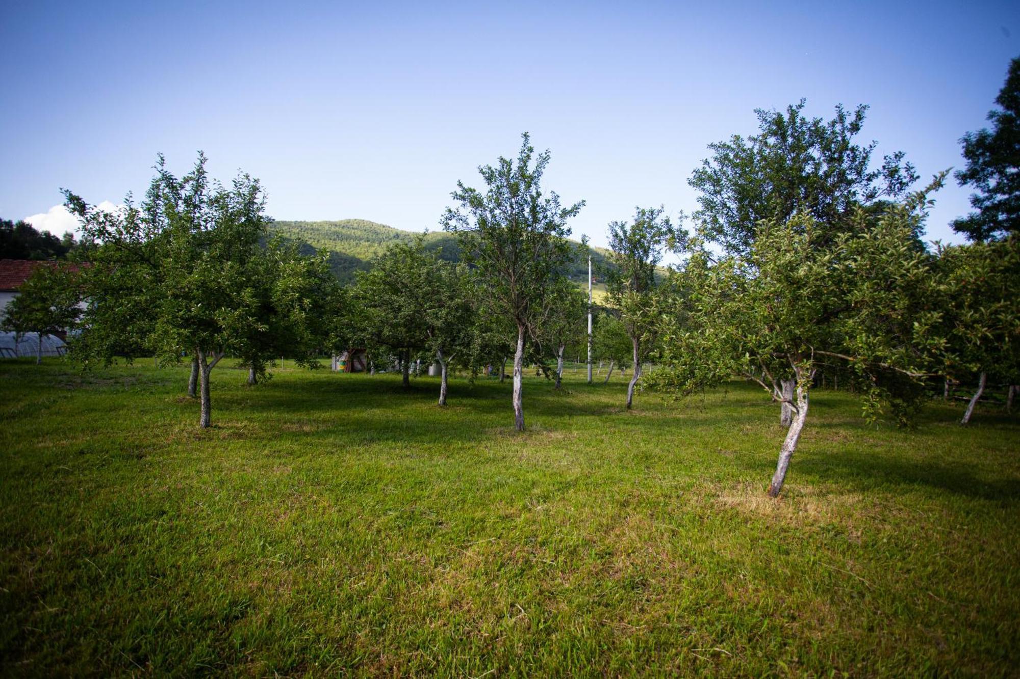 Ethno Village Stitarica Mojkovac Bagian luar foto